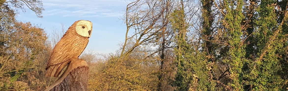 Primrose Lodge- Path Maintenance