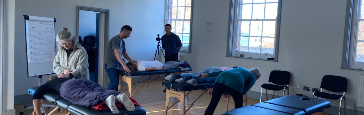 Integrating Tuina into Acupuncture Practice with Nick Lowe