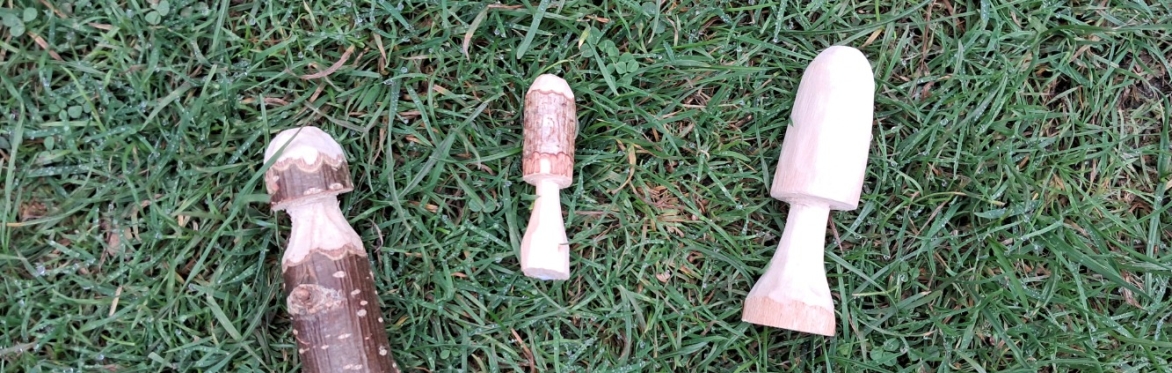 Woodcraft for Wellbeing - Whittle a Mushroom