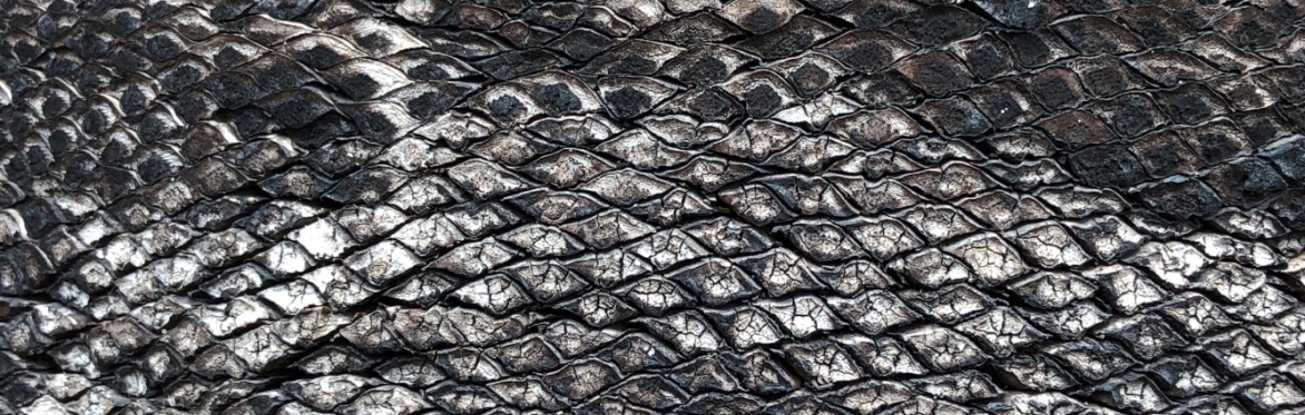 Close up of leaf texture in Glasgow Botanic Gardens