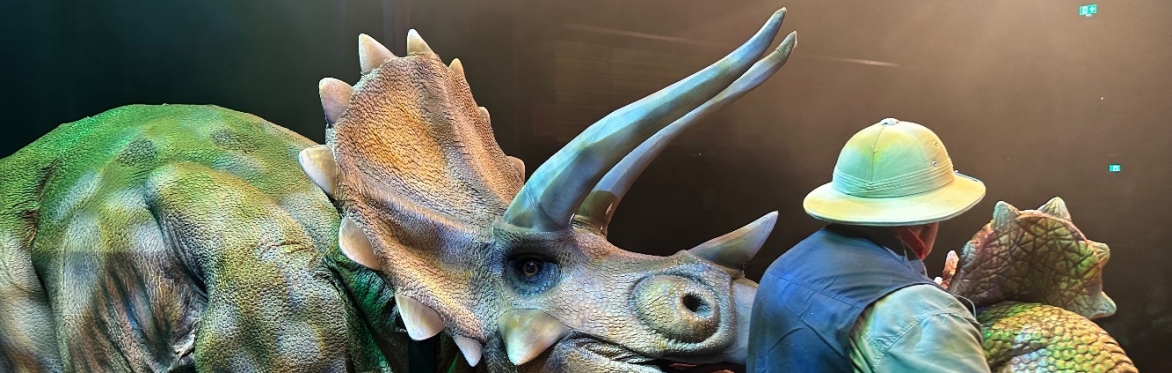 Longford Dinosaur Show live!