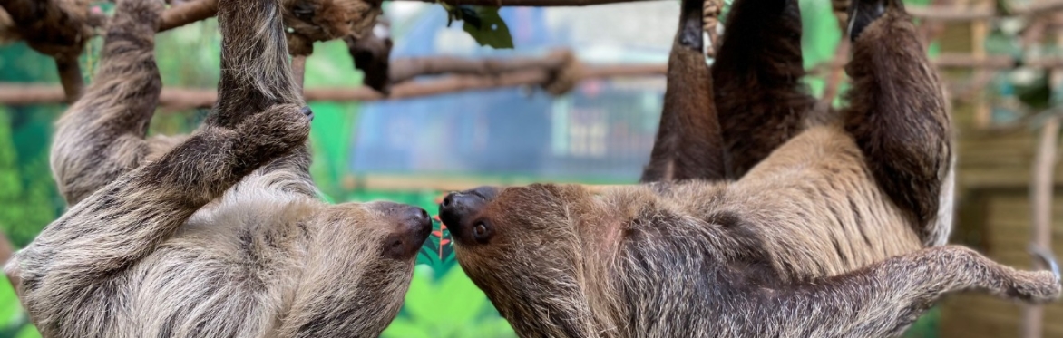 Beauty and the Beasties: Valentines Evening at the Zoo   