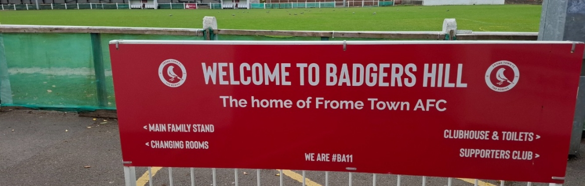 Extraordinary council meeting - Badgers Hill