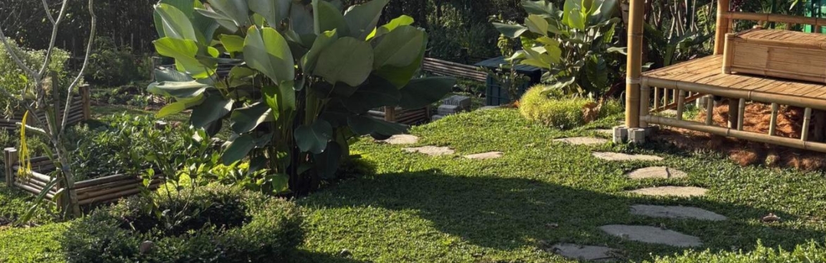 The ANEW permaculture gardens near Ubud