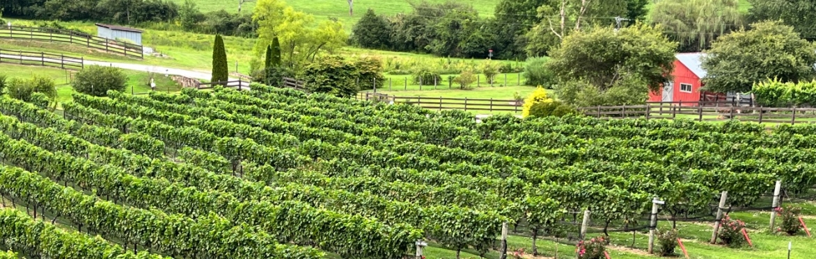 Stonewall Creek Vineyards "Mediterranean Culinary Experience" with Chef Inger Smith