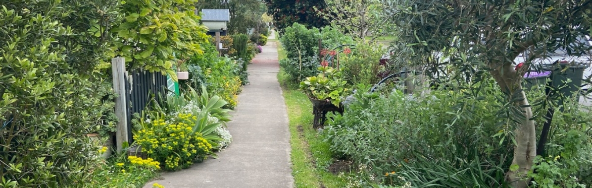 McLennan Street Edible Garden Tour