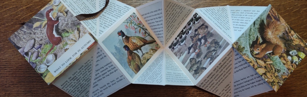 An origami style collage with ladybird images and text