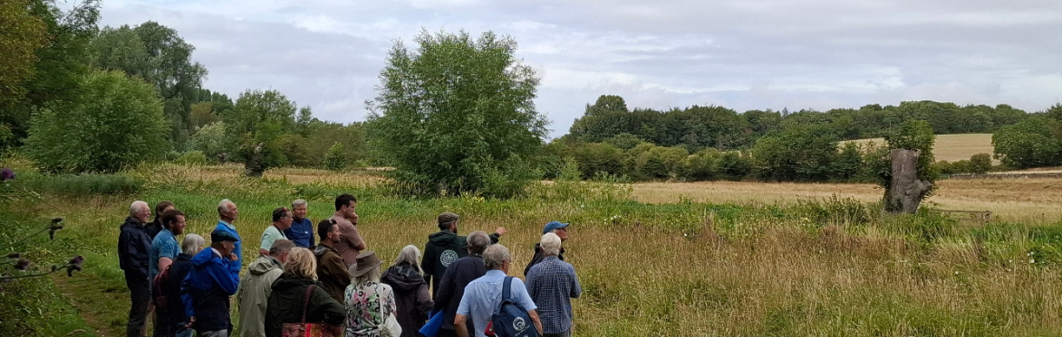 Upper Thames Catchment Partnership: Beavers in the Upper Thames