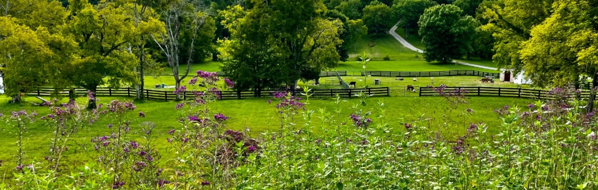 Busy Bees Day Camp: June 29th