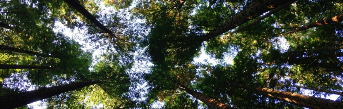 Environmental Action: Funding, People and Place