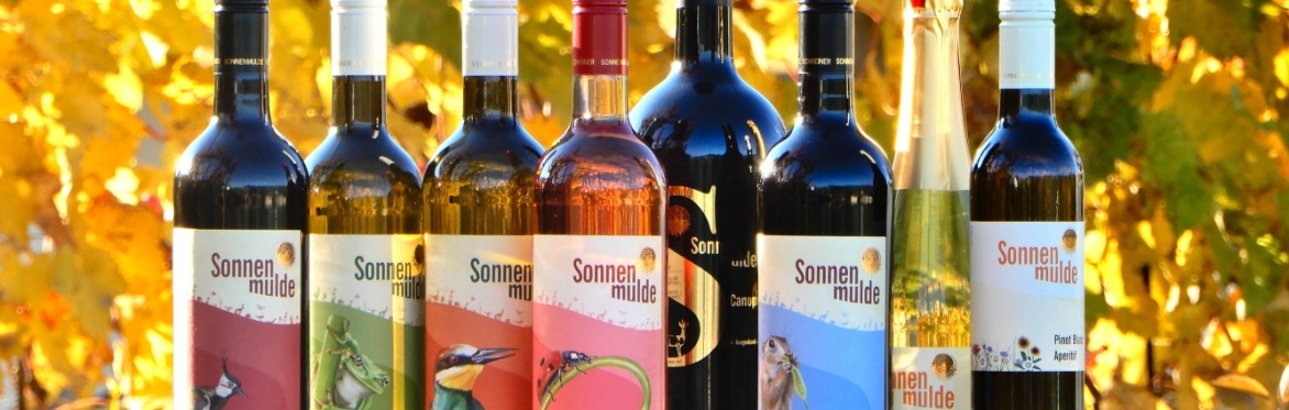 Sonnenmulde wine bottles in vineyard setting