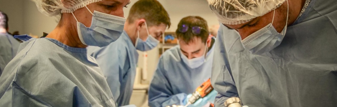 Advanced neurology course Level II