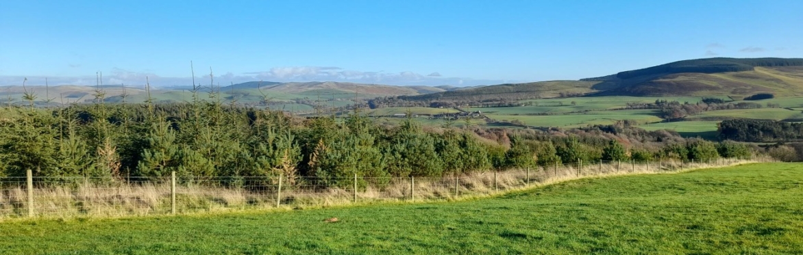 Woodland creation application around the kitchen table with Andrew Adamson, Netherurd Home Farm