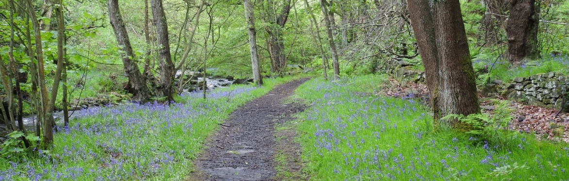 Volunteer Work Day: Wyming Brook