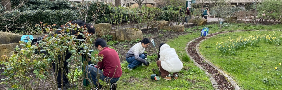 Weekly Gardening Sessions