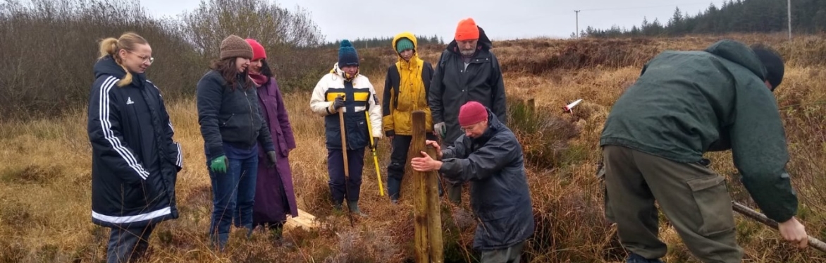 Re-wetting our Peatlands - Sustainable Timber Dams