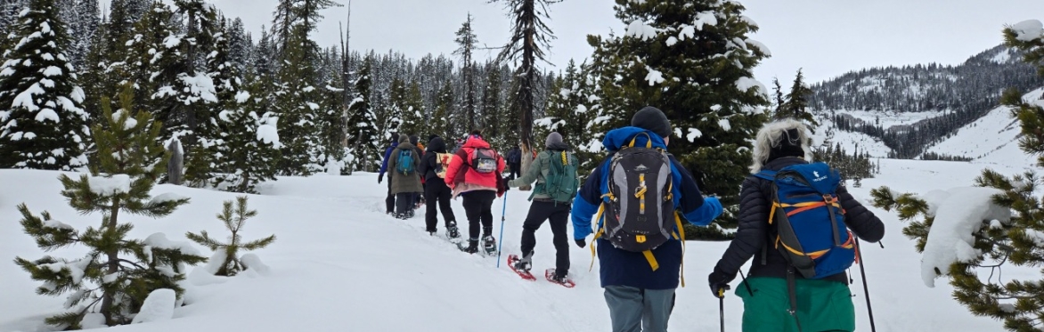 A group of people with snowshoes head down a trail between snow covered trees