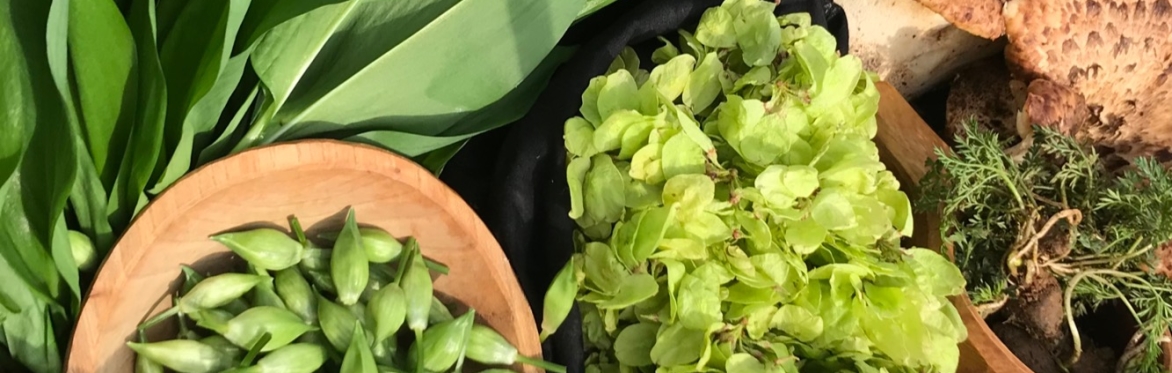 Late Spring Foraging Workshop with foraged lunch - May