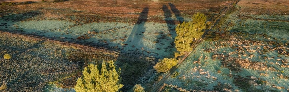 High Fen Wildland