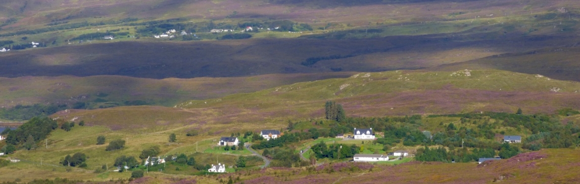 Tea and Trees with Crofters