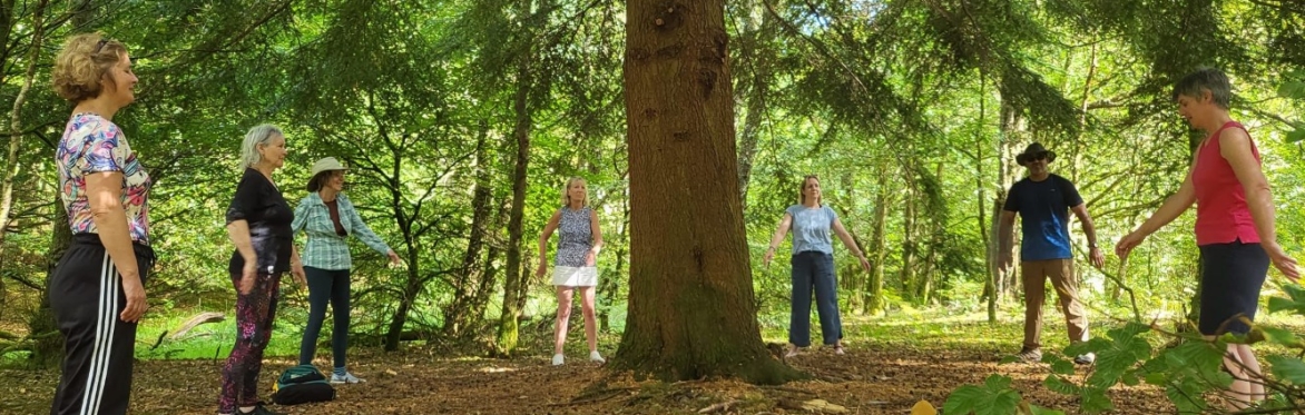 🌿Nature, Connection & Wellbeing for Local Businesses🌿