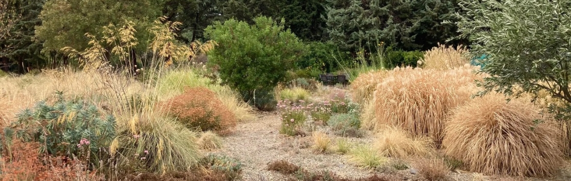 Webinar 'Designing for year-round interest in a Mediterranean climate garden'