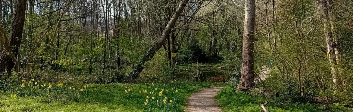 Volunteer Work Day: Crabtree Ponds