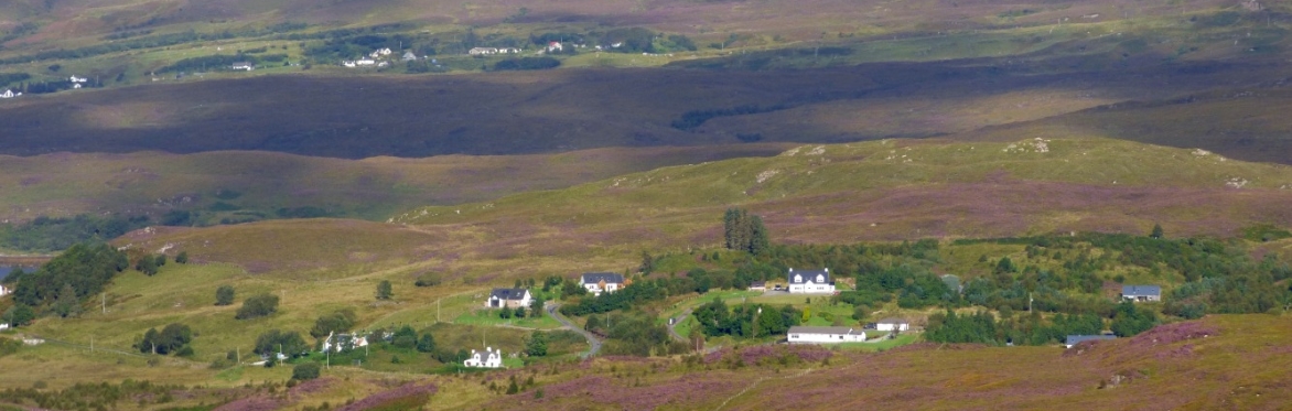 Tea and Trees with Crofters