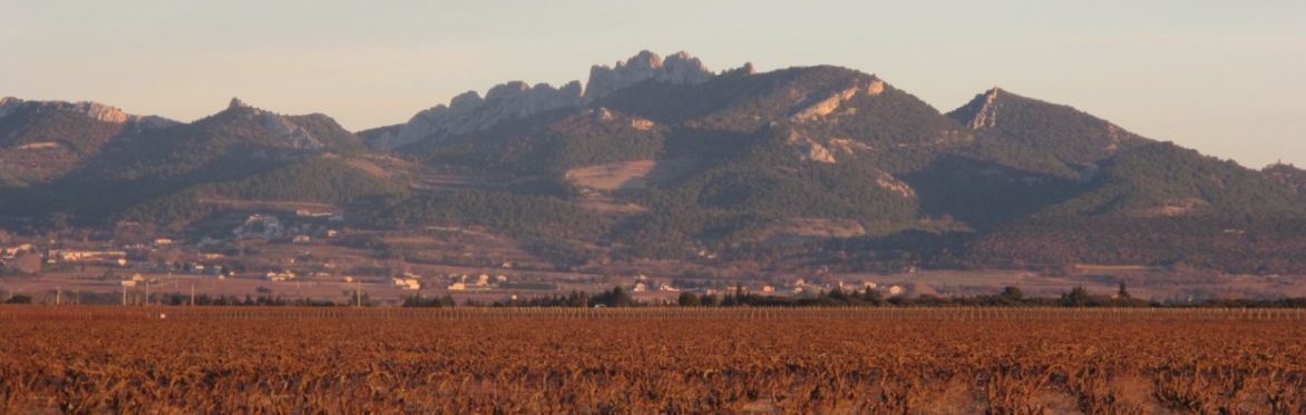 A Tasting of Mature Burgundy, Bordeaux & Rhône