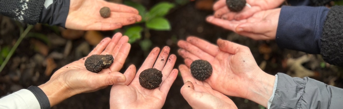 Truffle Hunting Experience Day