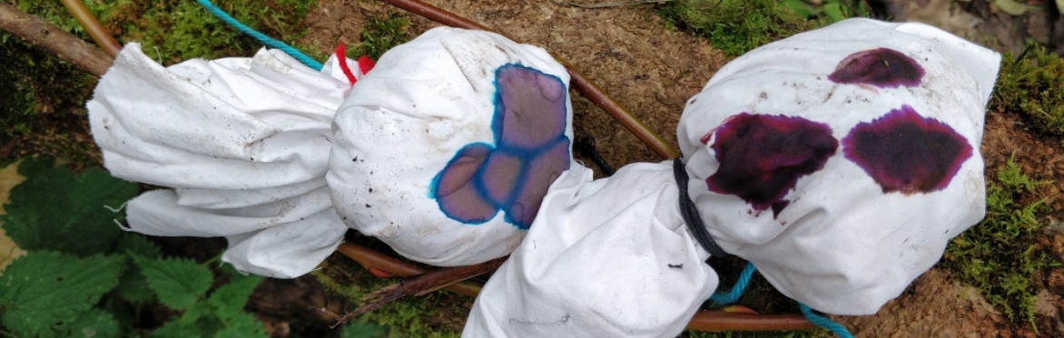 Forest School Themed Samhain Camp 2026