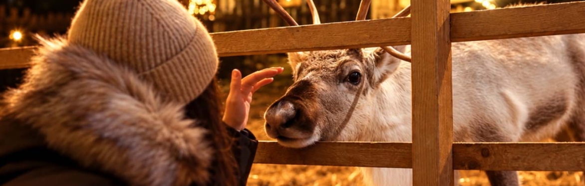 Exclusive Reindeer Experience 2026