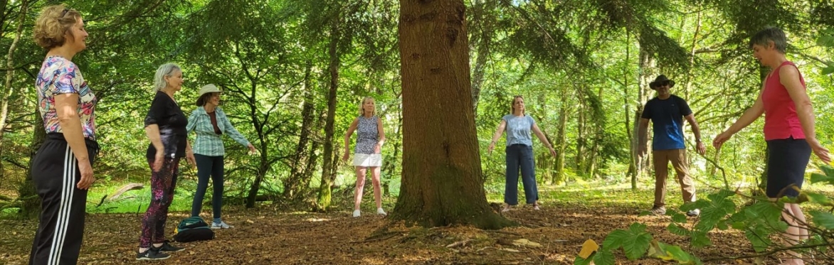 🌳Rooted: Weekly Qigong at the Farm🌳
