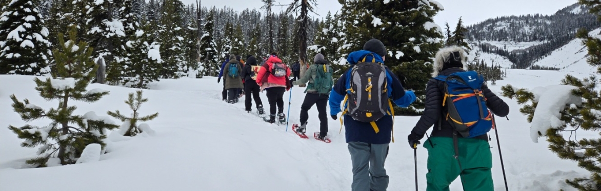A group of people wearing snow gear and snowshoes walk down a snowy tree-lined trail away from the camera
