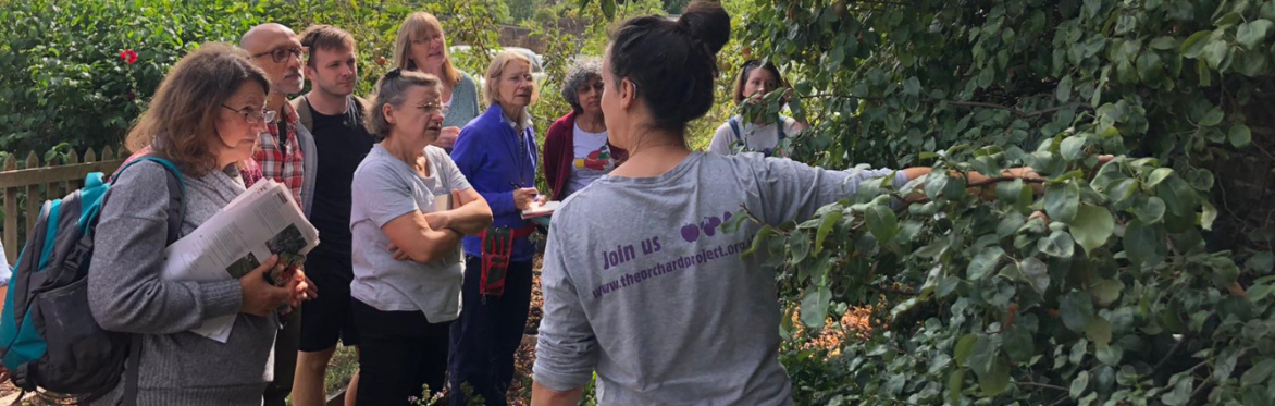 Tutor in a grey The Orchard Project t shirt training a group of students in an orchard