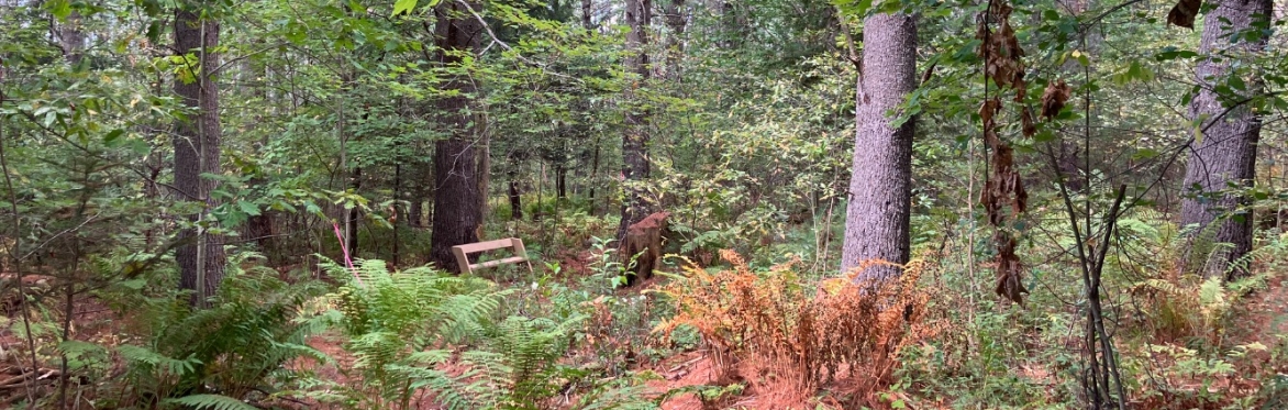 MOFGA Trails Walk & Talk