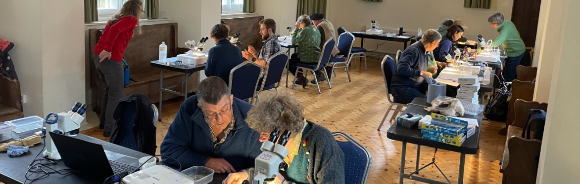 Sapperton Wilder Para-taxonomy Workshop