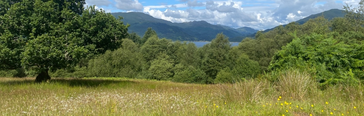 Botanical Recording