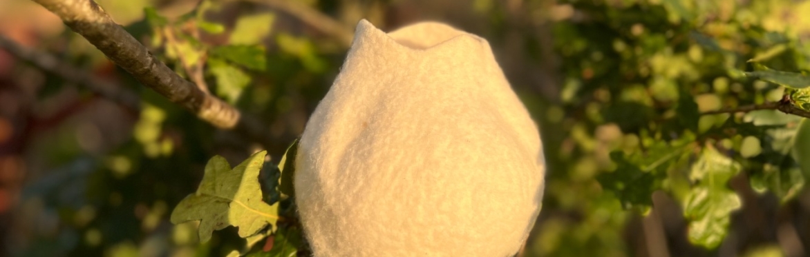 Winter White Wet Felted Vase