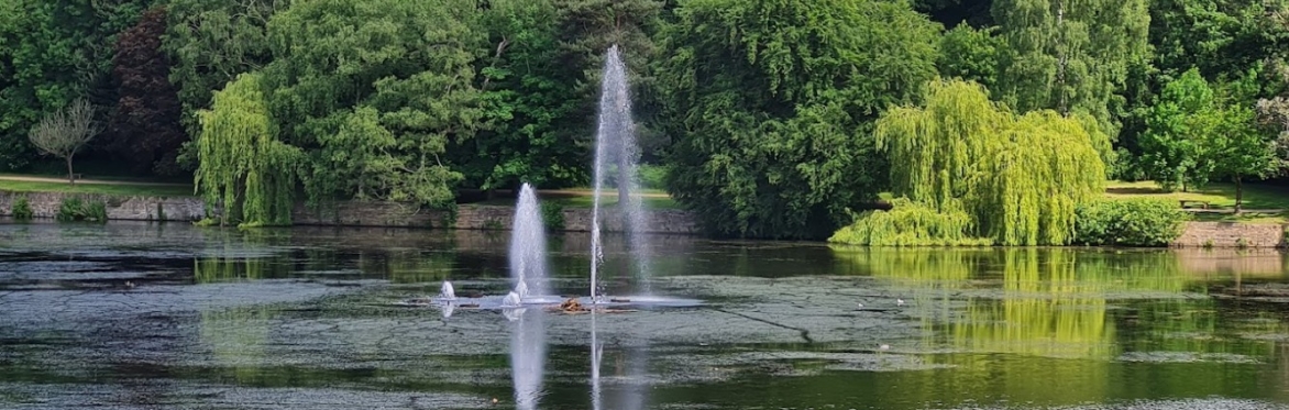 Dads & Kids Walk - Roundhay Park (10:45 - 12:00)