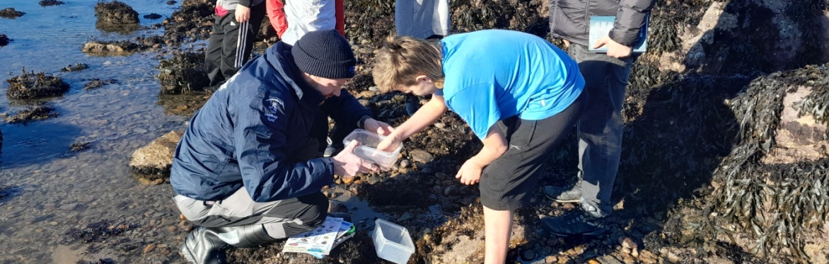 Beach clean and rockpool