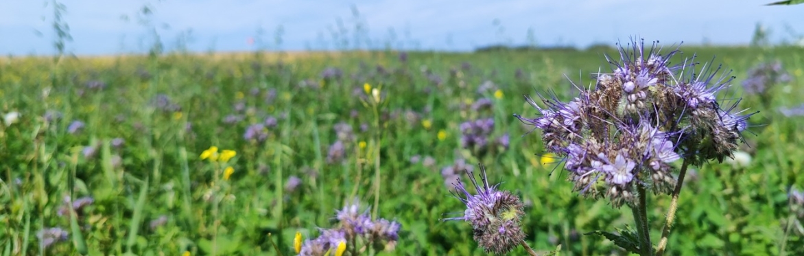 Prairie Precision Sustainability Network Field Day