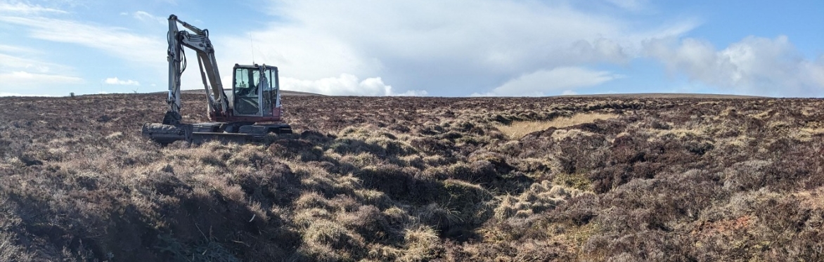 Knoxfauld; Heathy peat, farm and future