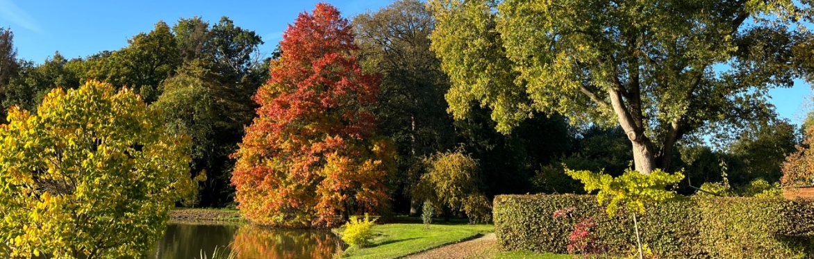 Seminarie Mindfulness