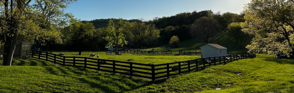 Wellness Retreat: Farm Yoga & Pavilion Sound Bath
