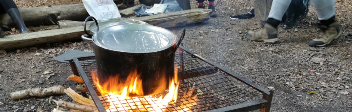 Wildlife and Bushcraft