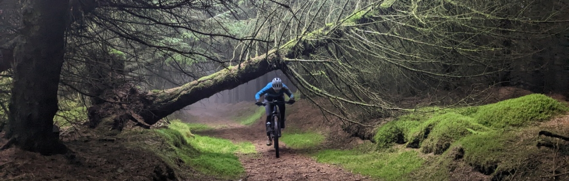 Glentress MTB Ride