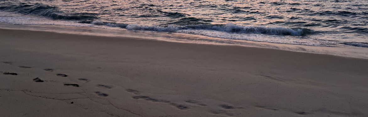 Footprints of the Ancestors