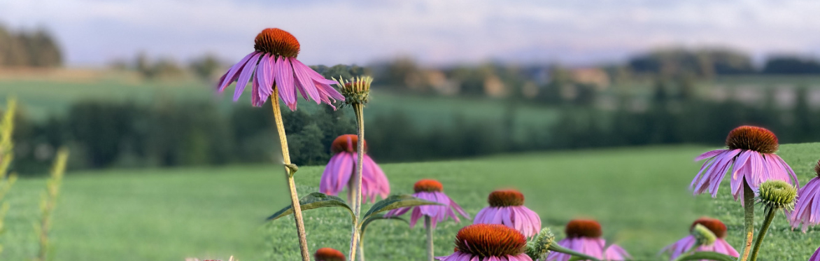 Dem Leben Raum geben. Tiroler Biodiversitäts-Award 2026