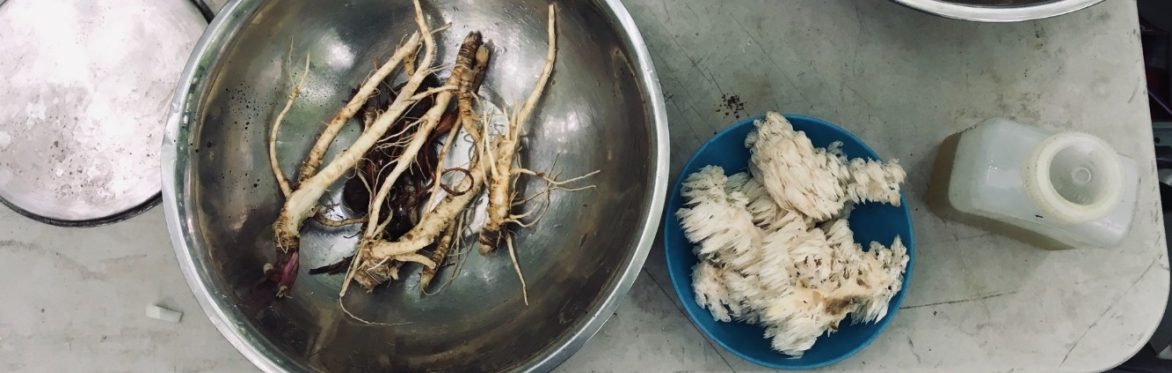 Forest Feast: Fall plants + mushrooms // Plantes d'automne et champignons